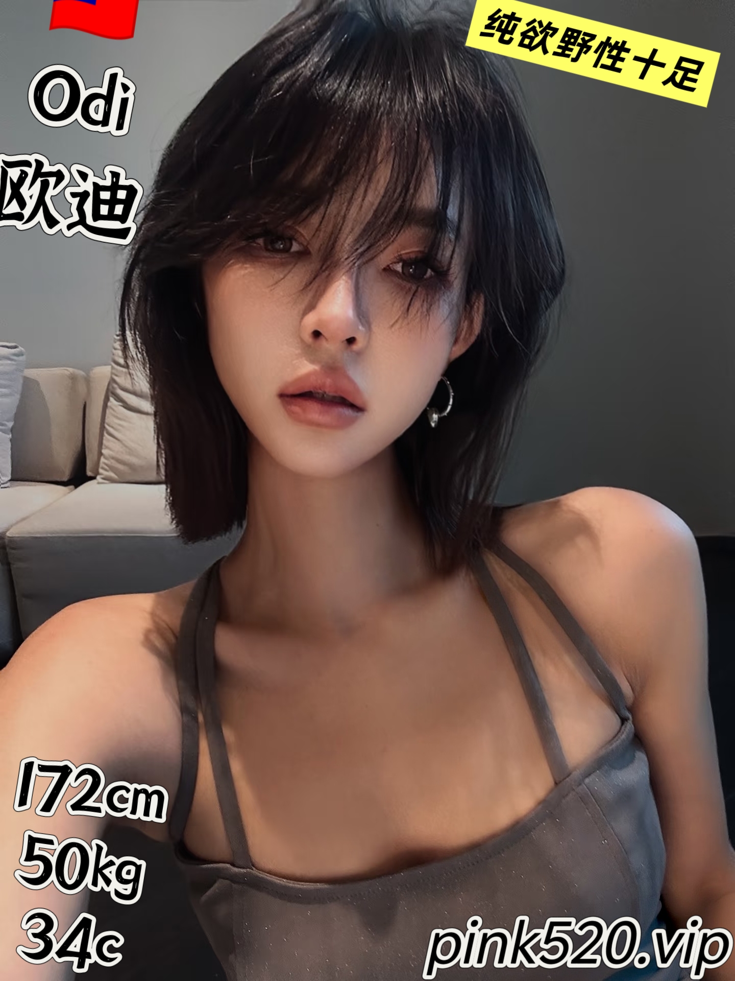 Odi欧迪
