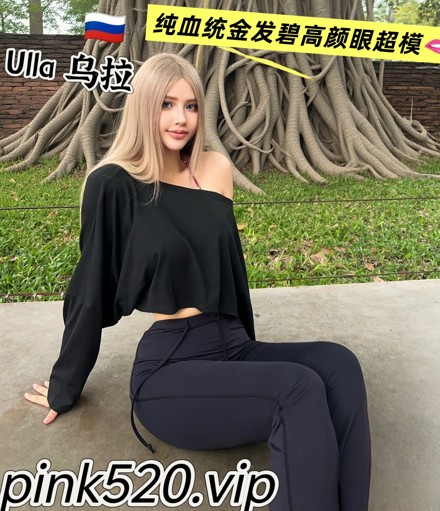 缩略图 5